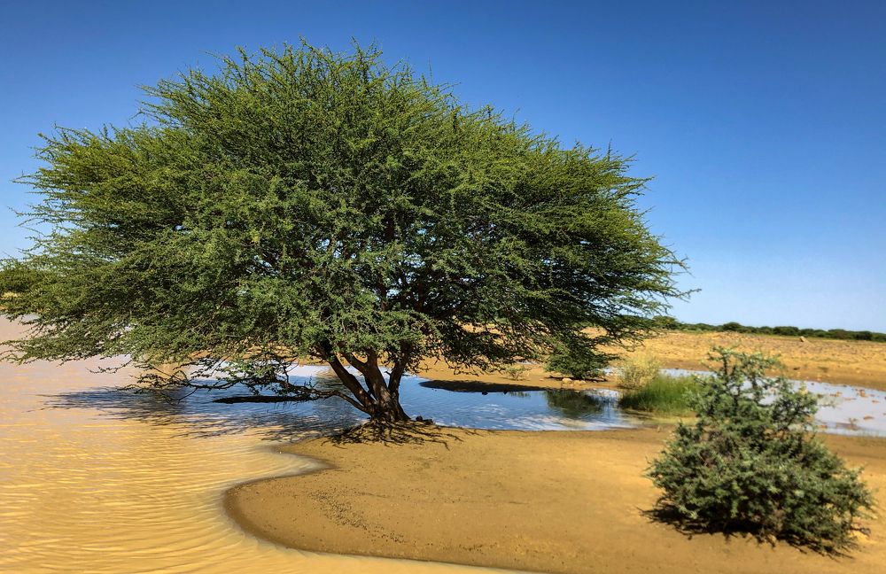 Photograph by sani maikatanga