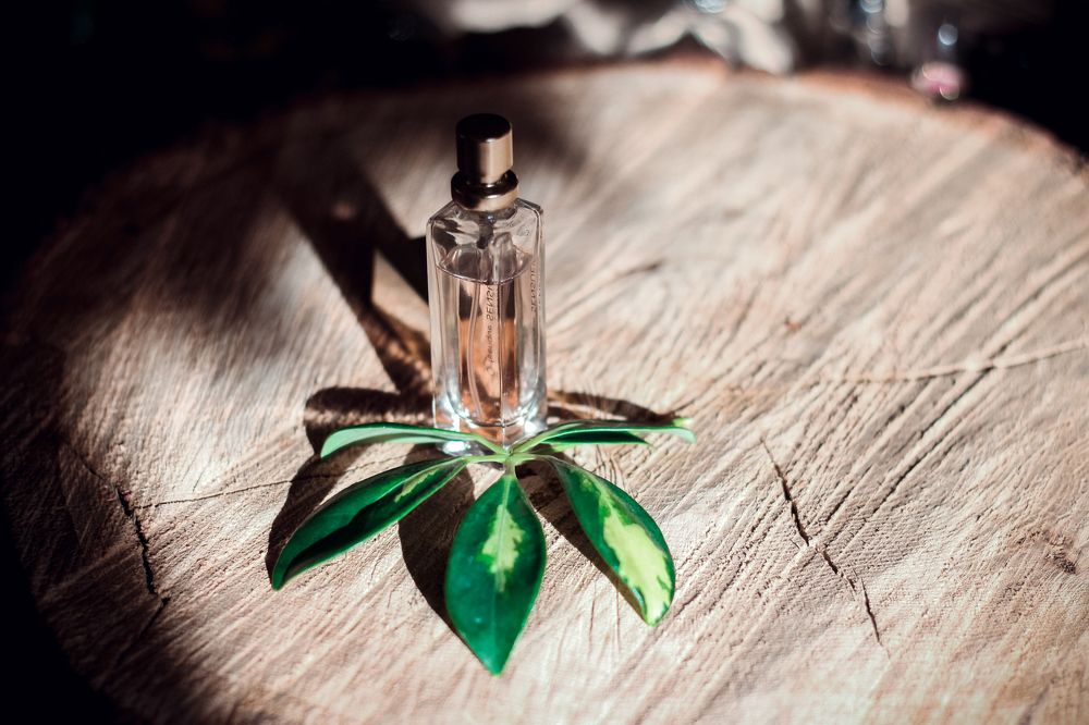 Фотография автора Лукашенко Ольга