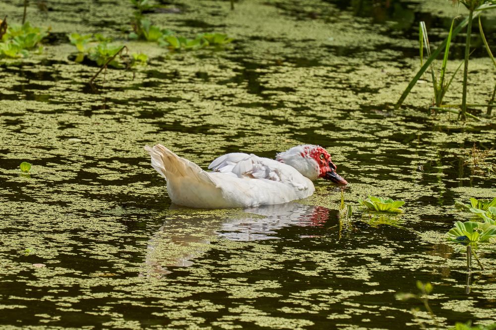 Photograph by sani maikatanga