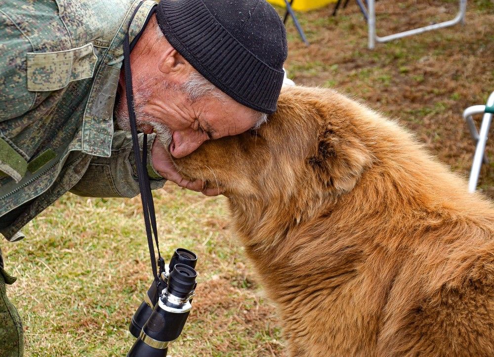 Верная дружба
