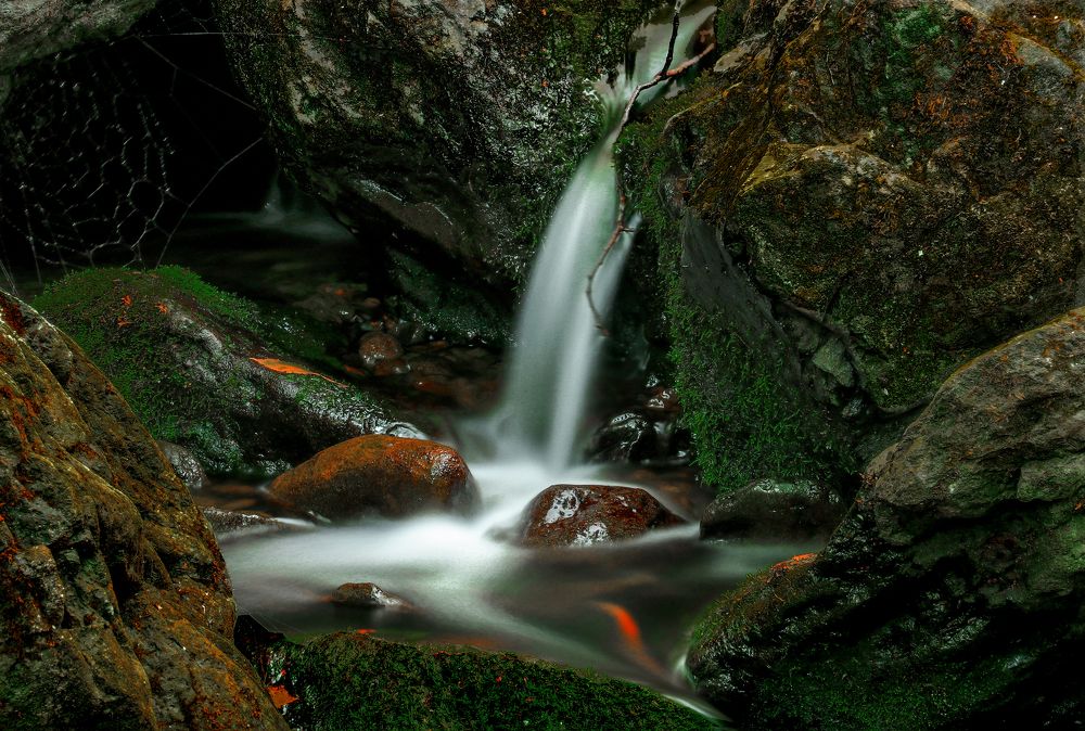 Photograph by федотов Алексей