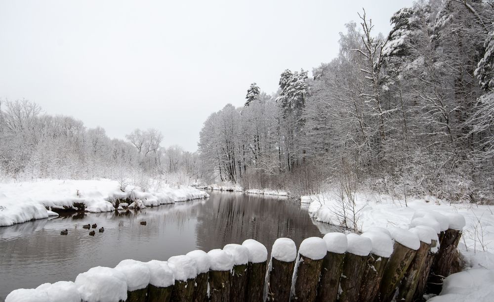 Photograph by Олег Пученков