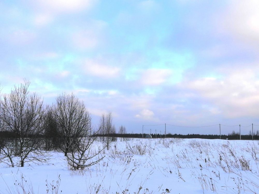 Photograph by Елена Лепешкина