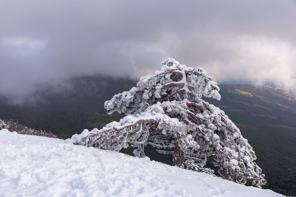 Зимний пейзаж