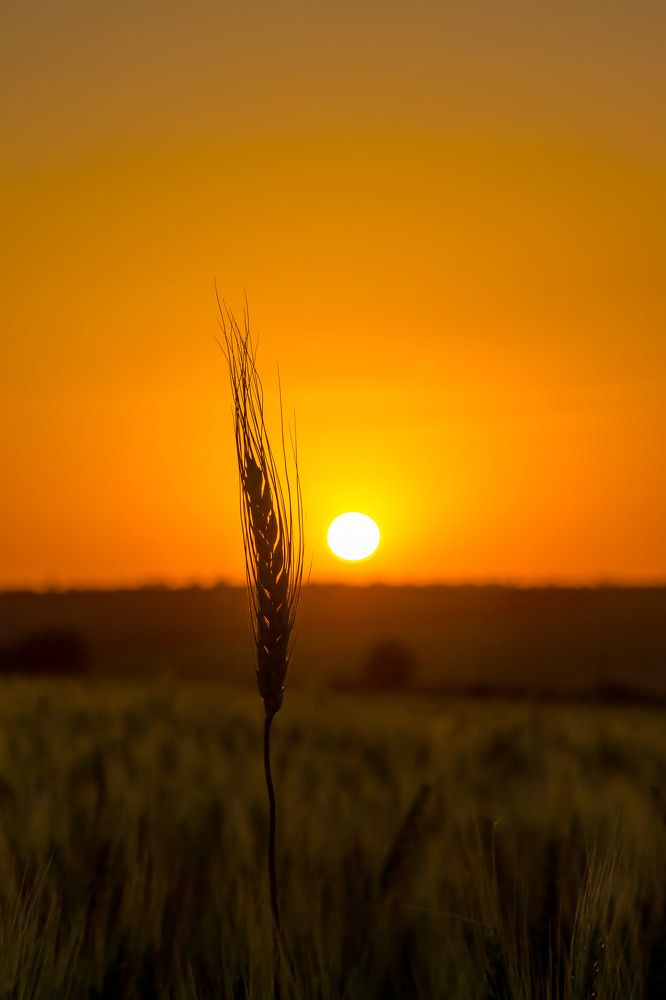 Photograph by Юрий Поповчак