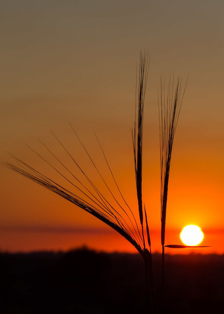 Photograph by Юрий Поповчак