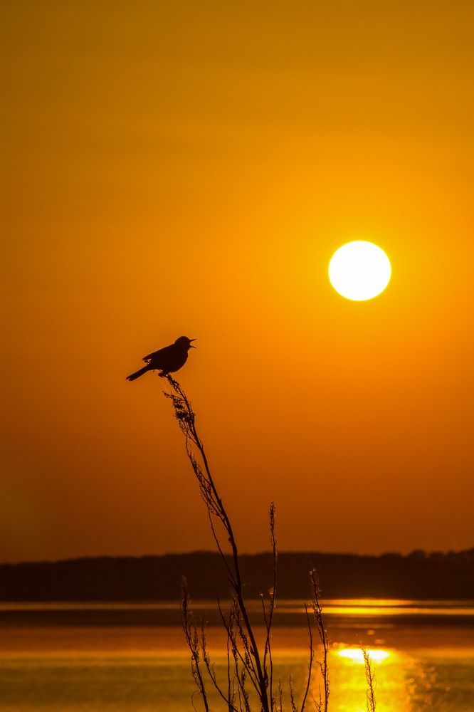 Photograph by Юрий Поповчак