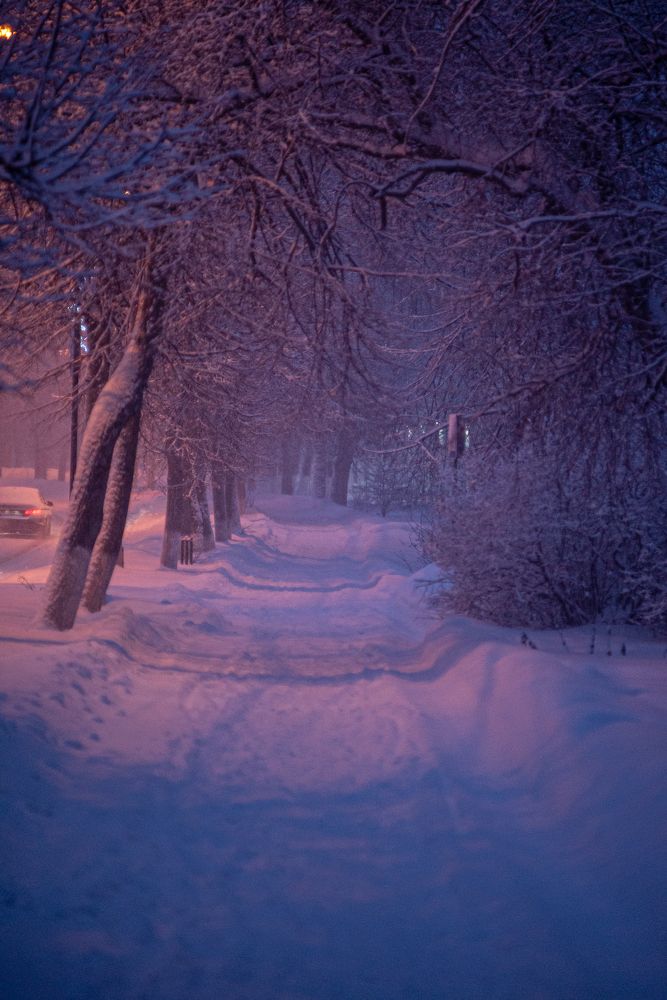 Зимняя тропинка