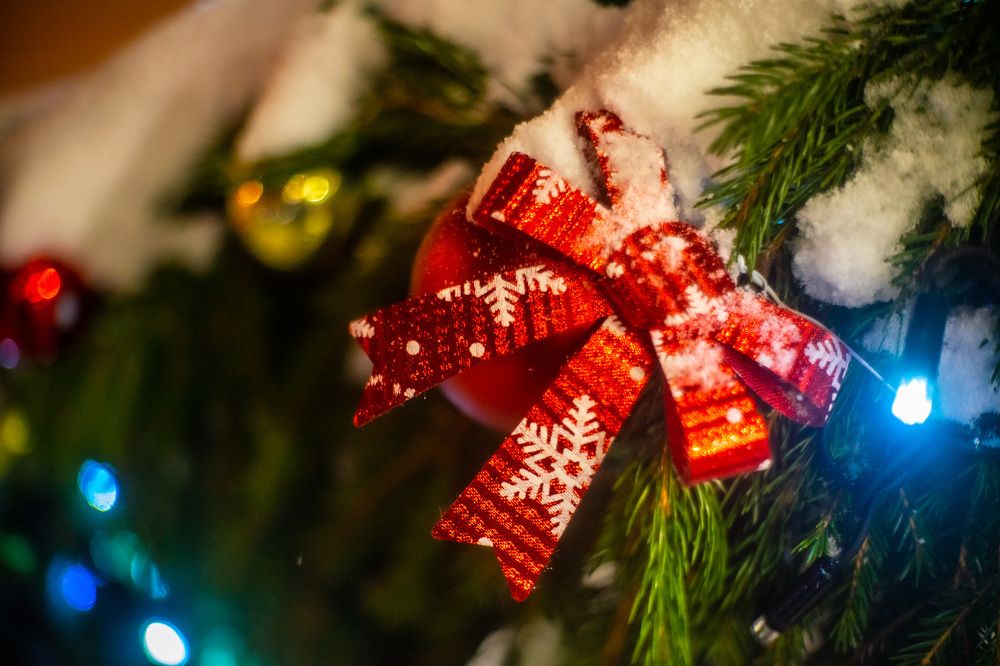 Photograph by Сергей Забиякин