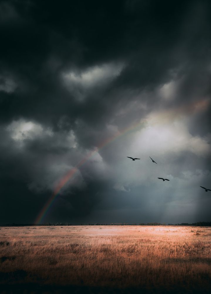 Photograph by Максим Недальченко