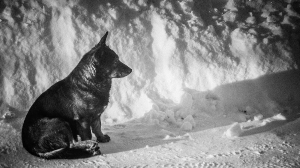 Photograph by Данил Журавлёв