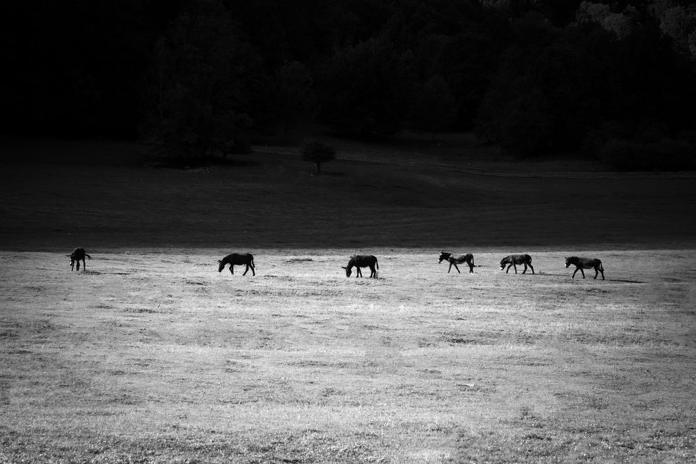 Photograph by Denisa Miazdrová