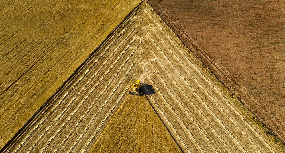 Photograph by Nieves Julián