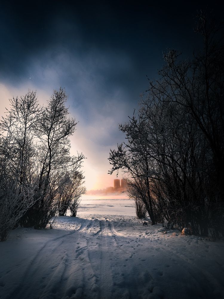 Photograph by Максим Недальченко