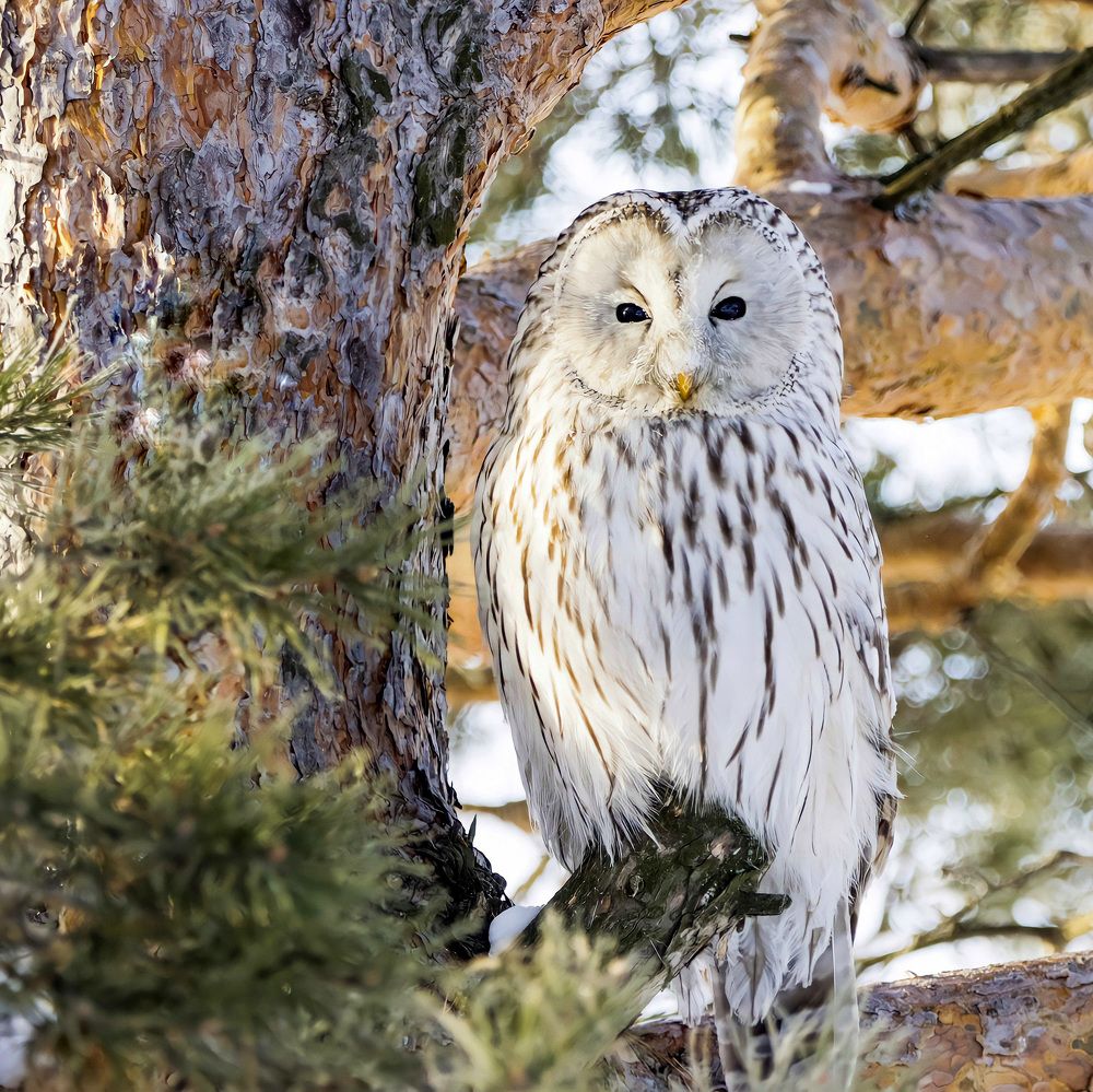 Photograph by Ирина Лисовец