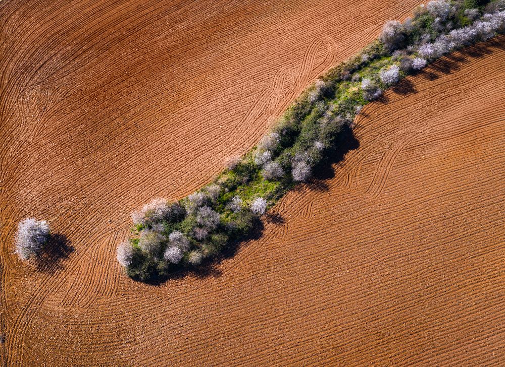 Photograph by Nieves Julián