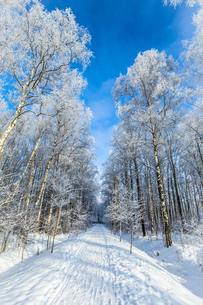 Photograph by Ольга Сафронова