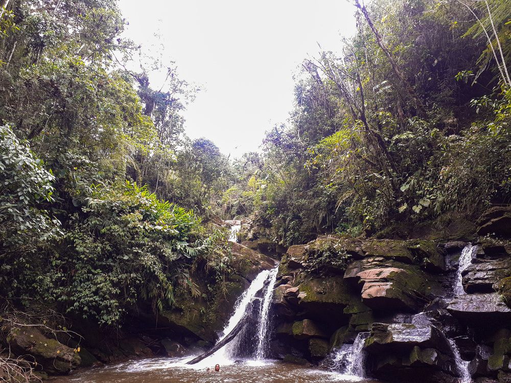 Фотография автора Segundo Antonio Carrasco Carrasco