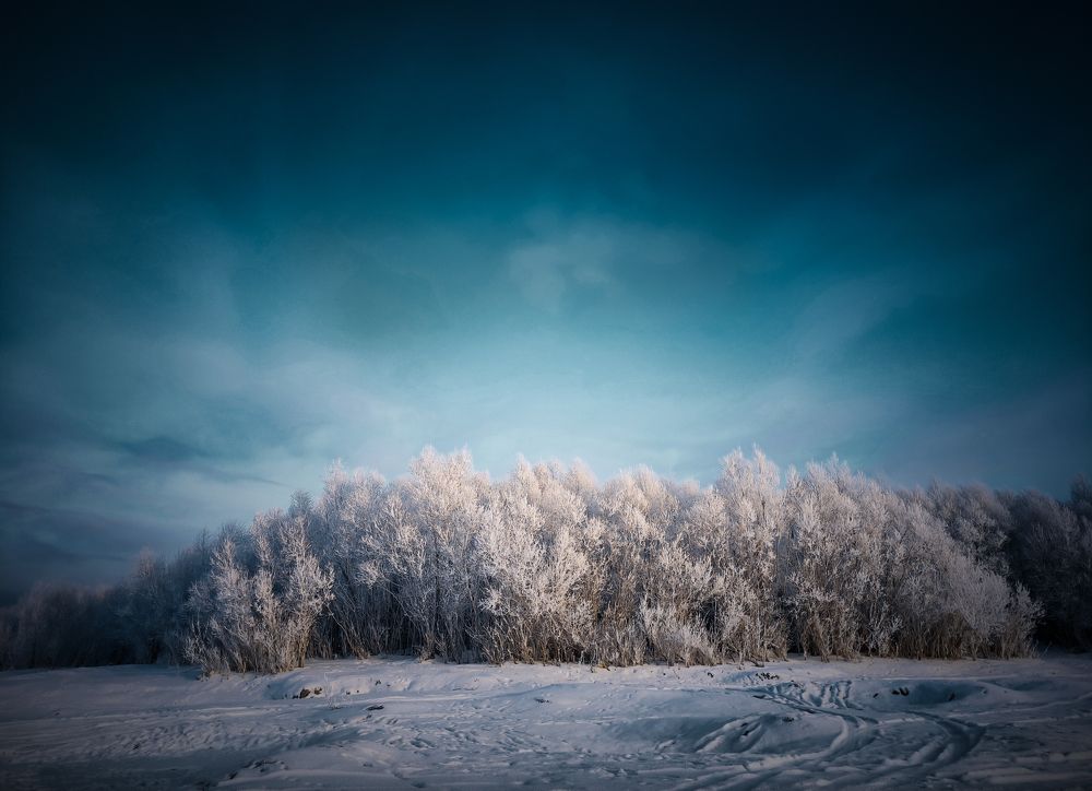 Photograph by Максим Недальченко