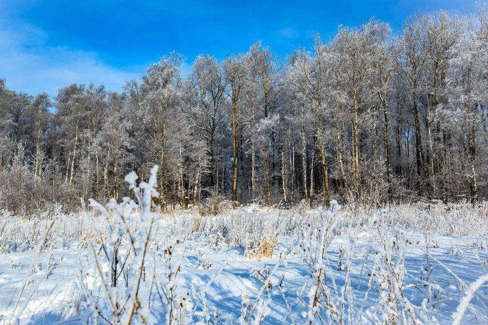 Photograph by Ольга Сафронова