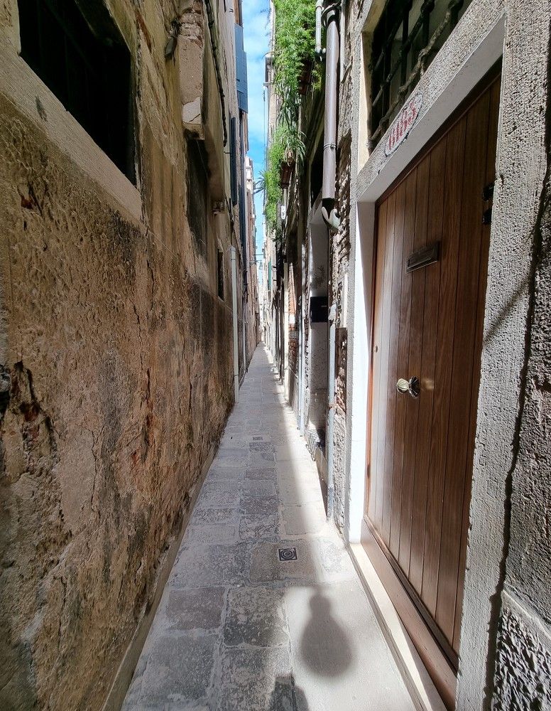 Photograph by Bingelis Kestutis