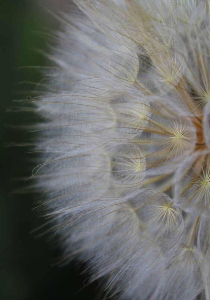 Photograph by Инна Майорова