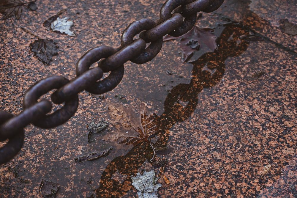 Photograph by Ольга Кудина