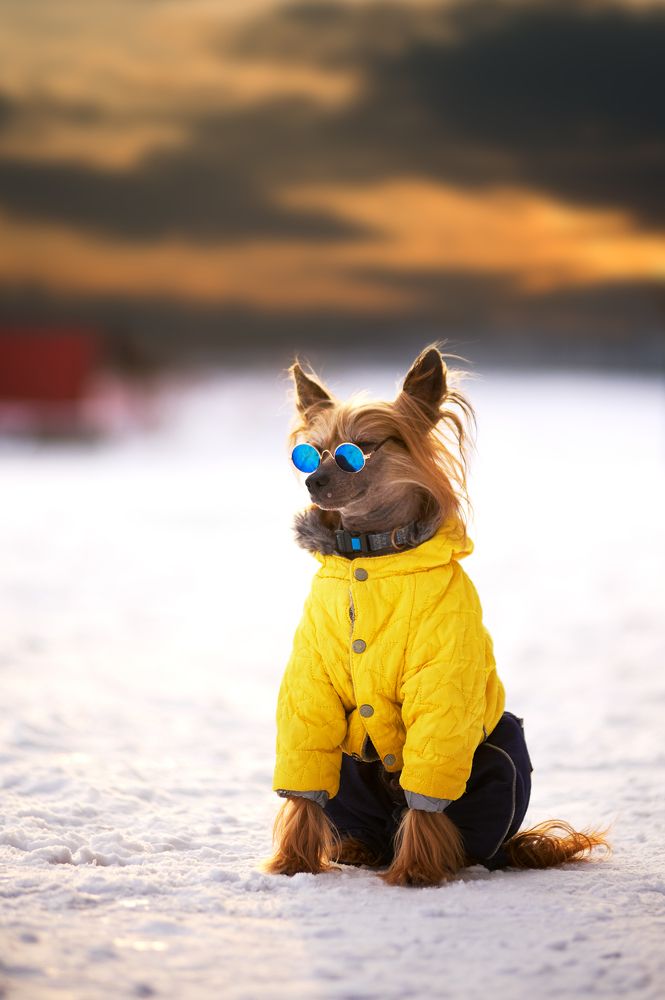 Фотография автора Дарина Матасова