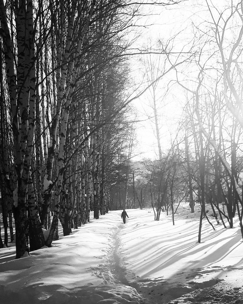 Photograph by Ирина Плотникова