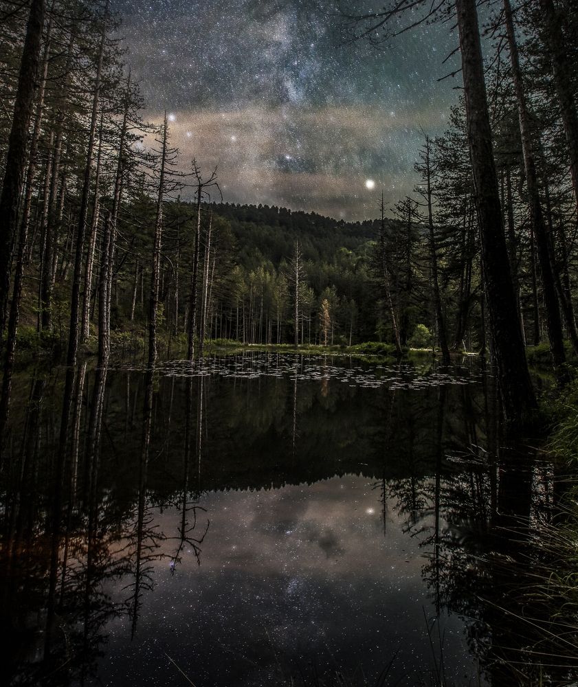 Milky way Forest Epirus Greece Akis Tasis