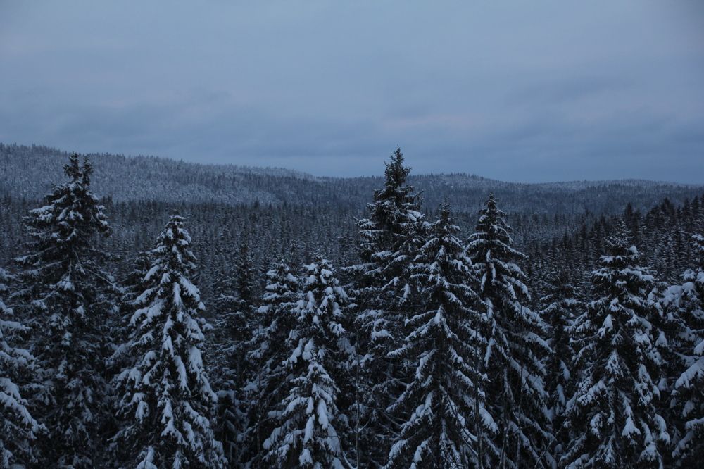 Photograph by Екатерина