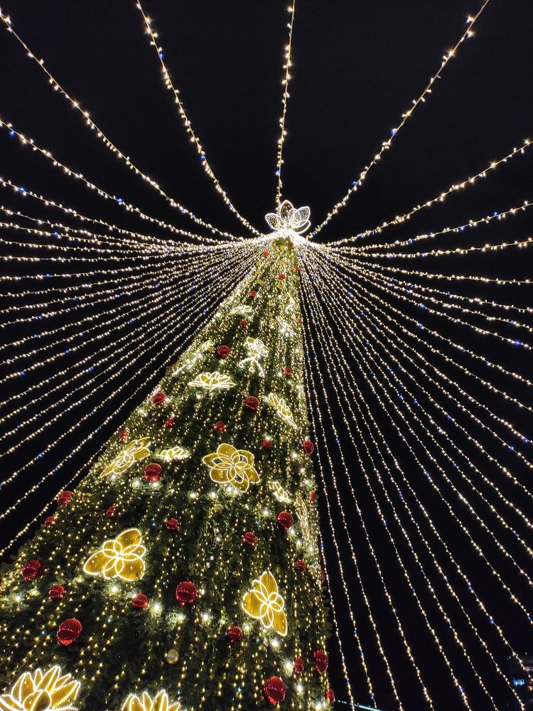 Photograph by Ирина Алексеевская