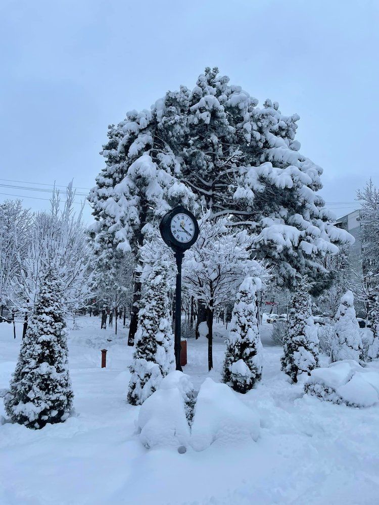 Фотография автора Юлия