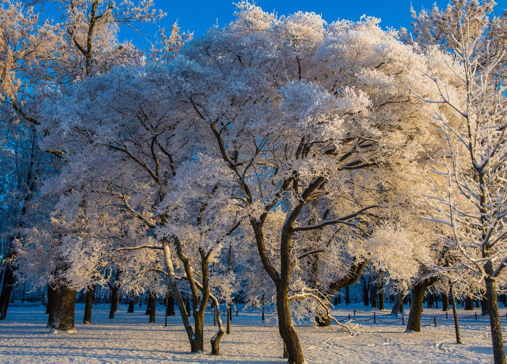 Photograph by Михаил Бояркин