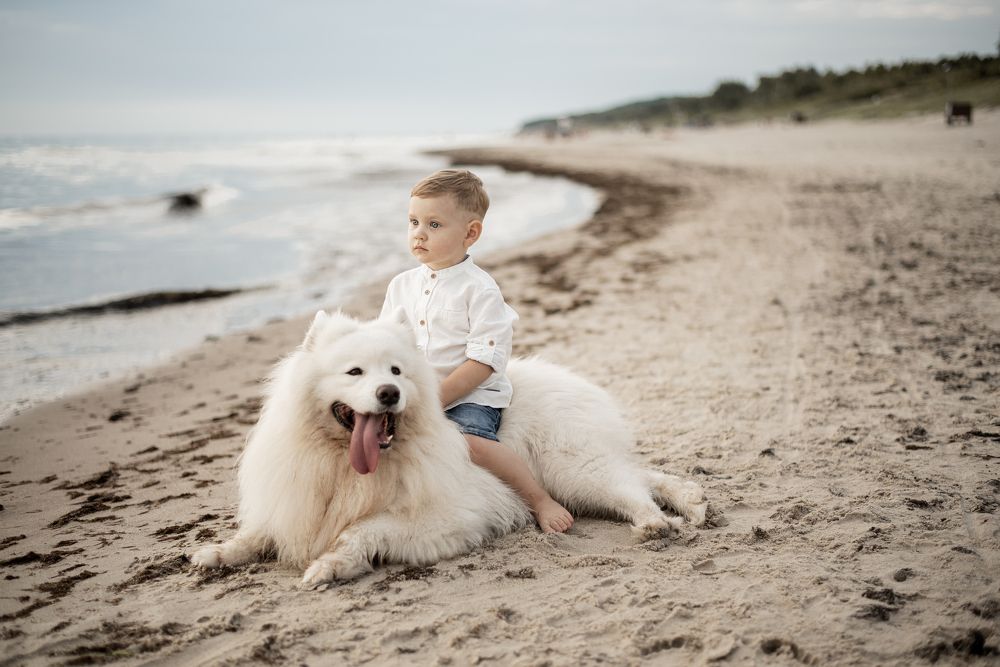 Фотография автора Gintarė Šimaitytė