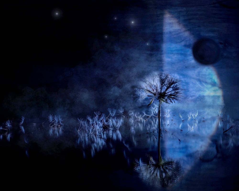 Photograph by Ксения Ершова