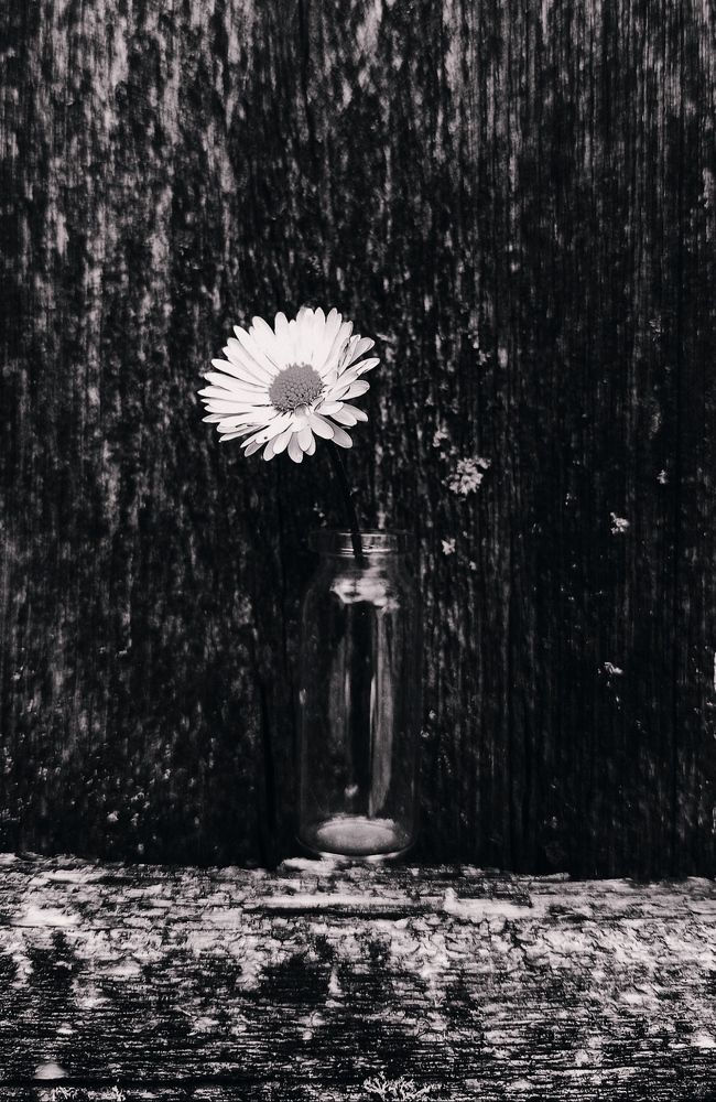 Photograph by Галина Мицевич