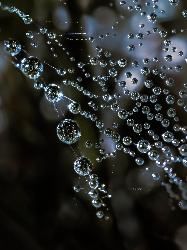 Photograph by Ксения Ершова