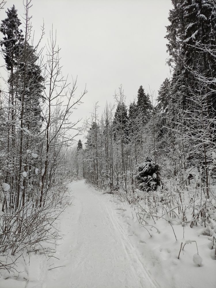 Photograph by Ирина Алексеевская