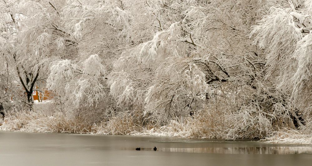 Photograph by Александр Редько