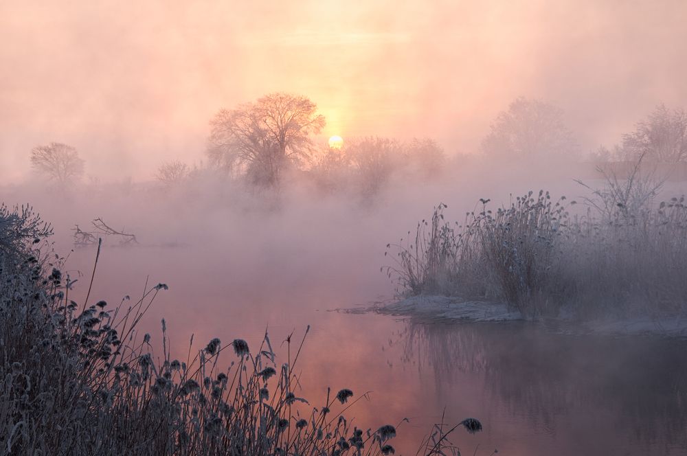 Photograph by Илья Толстоноженко