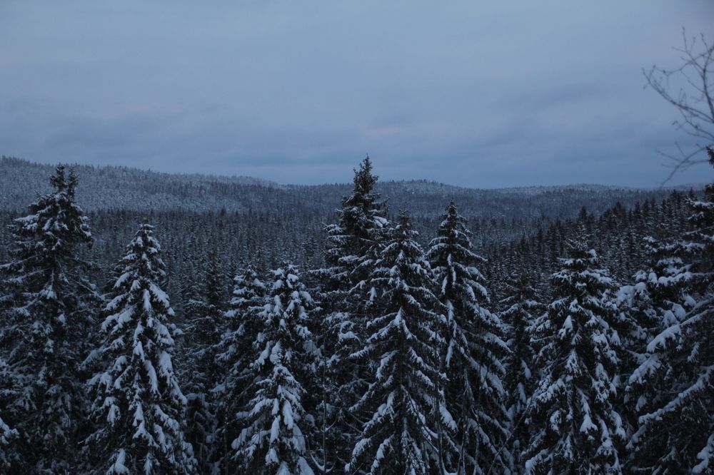 Photograph by Екатерина