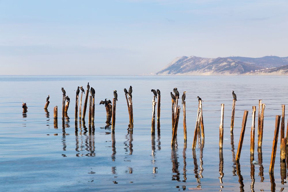 Photograph by Валерий Матросов