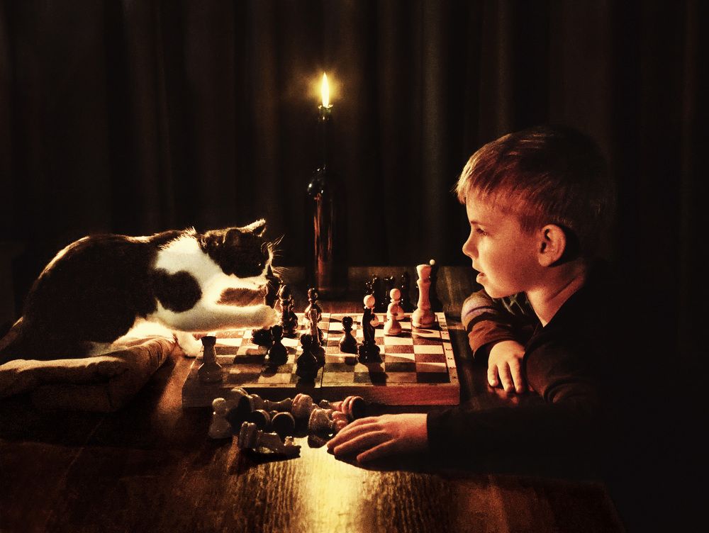 Photograph by Yulia Padalko