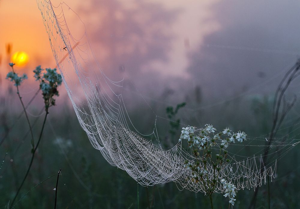 Photograph by Андрей Селиванов