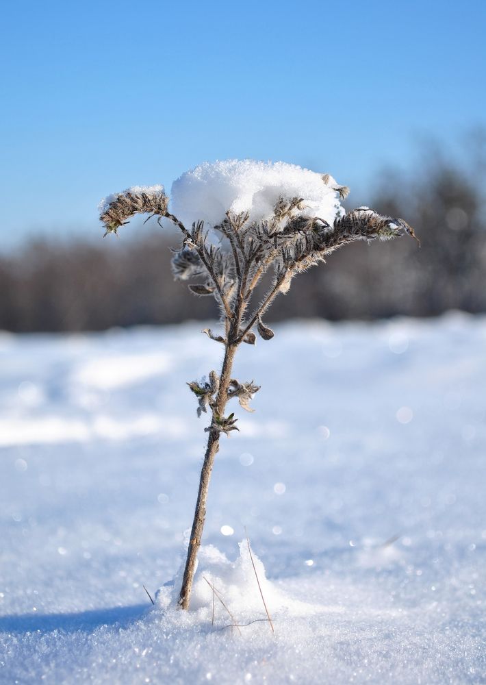 Photograph by Дима Токарев