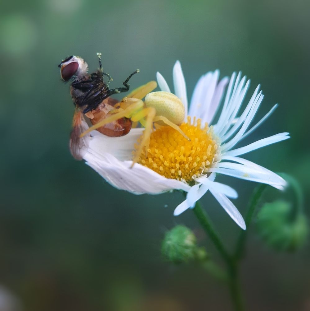 Photograph by Юлия Быкова