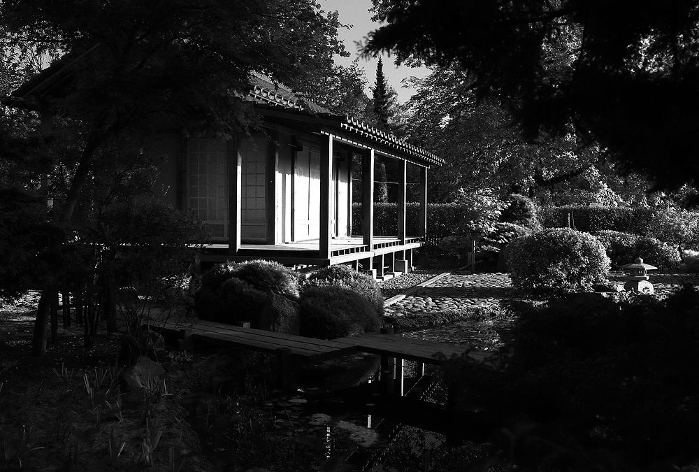 Фотография автора Сергей