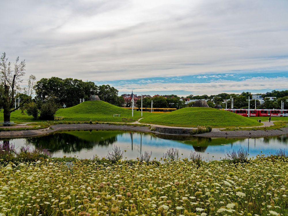 Лето в Штуттгарте