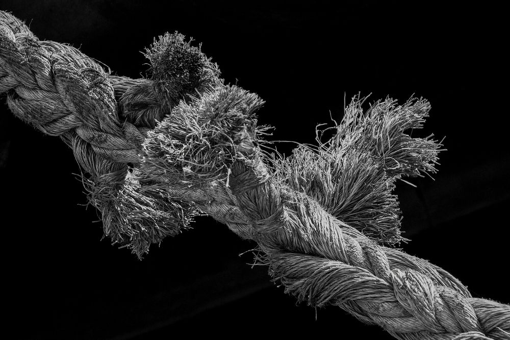 Привязанность        Attachment